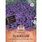 Rasenviolett Azurro 50 Samen Sperli