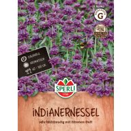 Zitrone Bienenmelisse 200 Körner Sperli