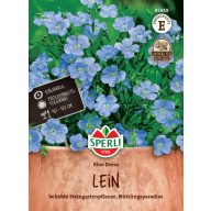 Ornamentales Blaues Kleid 80 M Sperli