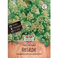 Rezeda Gartenduft 100 Körner Sperli