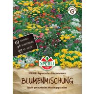   Japanischer Blumenrasen Blumensamenmischung Japanischer Blumenrasen 4 m2 Sperli