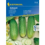 Gurke (Salat und Garnitur) Delikates 60 Körner Kiepenkerl