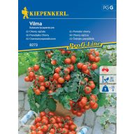 Kirschtomaten Vilma 10 Samen Kiepenkerl