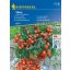 Kirschtomaten Vilma 10 Samen Kiepenkerl