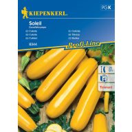 Zucchini Soleil 7 Körner Kiepenkerl