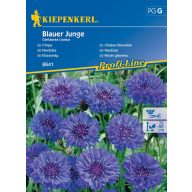 Kornblume Blauer Junge 60 Samen Kiepenkerl