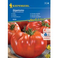 Riesentomaten Gigantomo Kiepenkerl 8 Stück