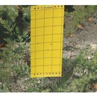   Geklebte Insektenfalle Geklebte Platte 10 cm x 24 cm 5 Stück