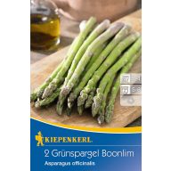   Grüner Spargel (Rhizom) Boonlim mehrjährig Kiepenkerl 2 Stück