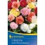 Blumenzwiebel Gumy begonia (vollblütig) Farbmix Kiepenkerl 3 Stück