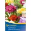 Zwiebel Freesia (Freesia) Wildblumen-Farbmix Kiepenkerl 10 Stück