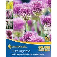   Blumenzwiebeln Nützliche Insekten Garten Kiepenkerl 26 Stück