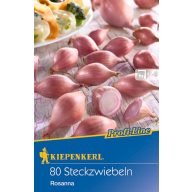 Zwiebel Rosanna (rosa) Kiepenkerl 80 Stück