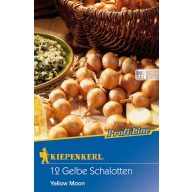   Dugh Zwiebel Schalotten Yellow Moon (gelb) Kiepenkerl 12 Stück