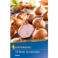 Dugh Zwiebel Schalotten Biztro (lila) Kiepenkerl 12 Stück