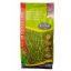 Grassamen Margitsziget-Mischung (Meister-Gras-Saatgut-Mischung) 10 kg
