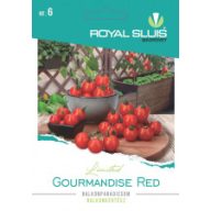 Tomate Balcony Gourmandise Rot 10 Samen Royal Sluis
