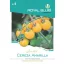 Tomatencocktail Cereza Amarilla 0,25g Royal Sluis