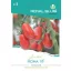 Tomate Roma VF 0,25g Royal Sluis