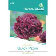 Mohn Schwarz Pfingstrose 0,08g Royal Sluis
