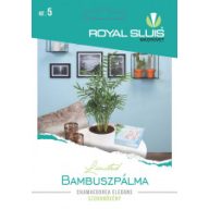 Bambuspalme 15 Samen Royal Sluis