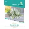 Einjährige Blumenmischung Sweet White 0,75g Royal Sluis