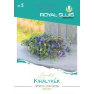 Einjährige Blumenmischung Royal Blue 0,75g Royal Sluis