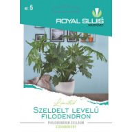 Flodendron 16 Samen Royal Sluis