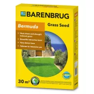 Sterngras PanAm (Bermuda) Barenbrug 0,5 kg