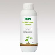 Brennnessel-Hyssop-Extrakt 1 l