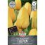 Blumenzwiebel Tulpe Roi du Midi 7 Stück Sperli