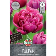   Blumenzwiebel Tulpe mit voller Blüte Margarita 7 Stück Sperli
