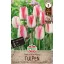 Blumenzwiebel Tulpe Playgirl 7 Stück Sperli