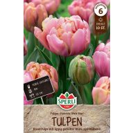 Blumenzwiebel Tulpe Rosa Stern 10 Stück Sperli