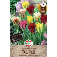 Zwiebel Tulpe Farbmix Viridiflora 10 Stück Sperli