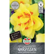 Zwiebel Narzisse Tahiti 5 Zwiebeln Sperli