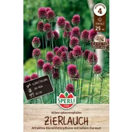Zwiebel Zwiebel 25 Stück Sperli
