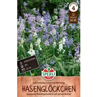 Zwiebel Spanische Blauglöckchen Farbmix 10 Stück Sperli