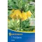 Blumenzwiebel Kaiserkrone Lutea 1 Stück Kiepenkerl