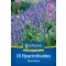 Blumenzwiebel Englische Blauglocke Blue Bell 7 Stück Kiepenkerl