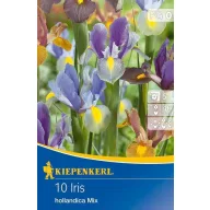 Zwiebel Iris hollandica Farbmix 10 Stück Kiepenkerl