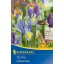 Zwiebel Iris hollandica Farbmix 10 Stück Kiepenkerl