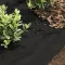 Geotextil schwarz GEOTEX 100g/m2 1x100m