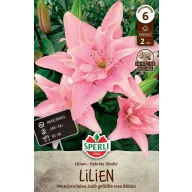 Blumenzwiebel Lilie Elodie 2 Stück Sperli