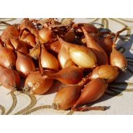 Zwiebeln Makói Herbst 500g