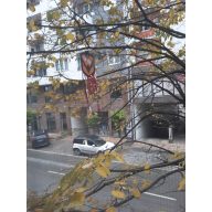 Vogelabwehr Gesicht SCARYFACE