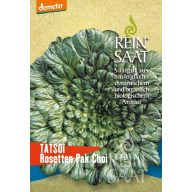 Asiatischer Kopfsalat Bio Tatsoi Rein Saat ca. 500 Samen