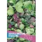Asia-Salat Bio Oriental Mix Rein Saat ca. 4-5 m2