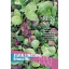 Asia-Salat Bio Oriental Mix Rein Saat ca. 4-5 m2