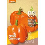 Paprika Bio Cubo Orange Reines Saatgut ca. 30 Samen